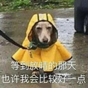 DƬ